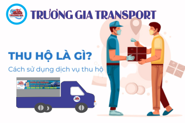 THU HỘ